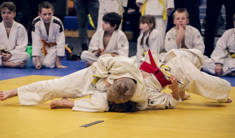 Judo Techniques